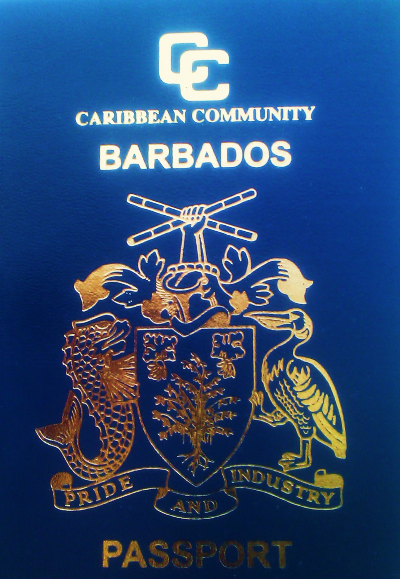 passport rules for travel to barbados